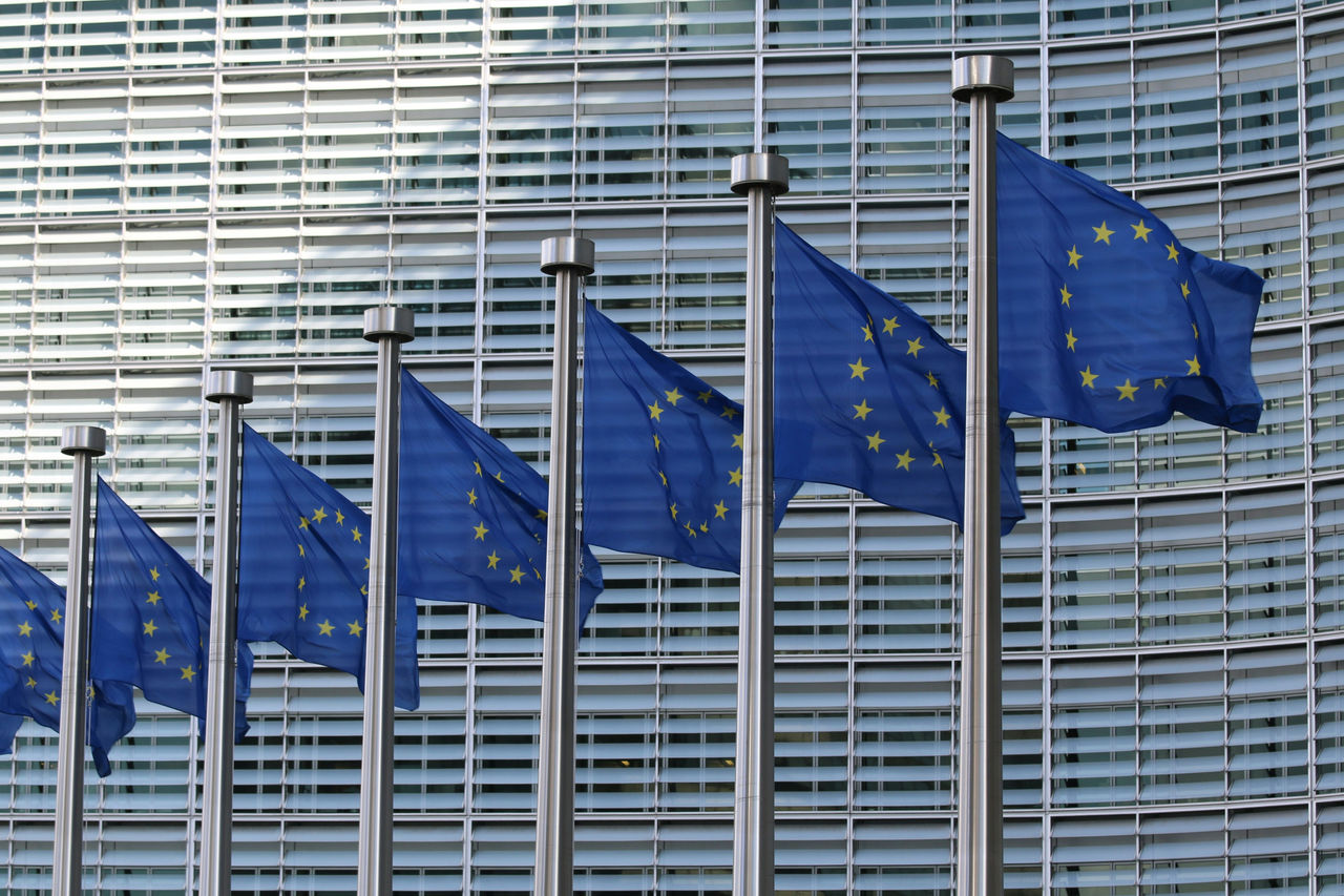 Europæisk flag